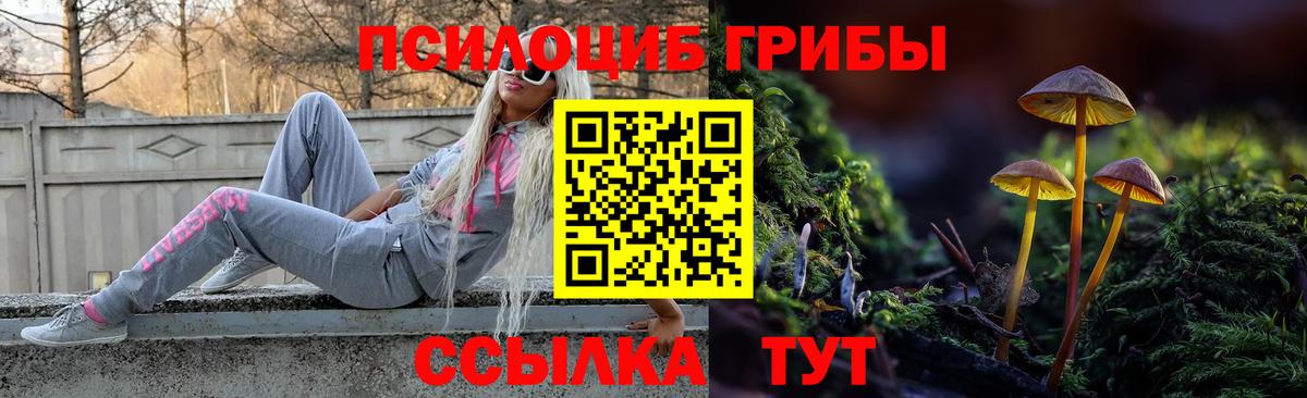 Псилоцибиновые грибы Cubensis Красноперекопск