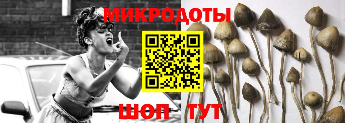 Галлюциногенные грибы Psilocybe  Псилоцибиновые грибы GOLDEN TEACHER  Красноперекопск  Вход с VPN 